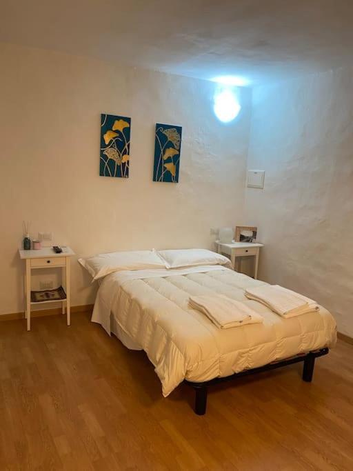 Gianfranco - City Center Apt ฟลอเรนซ์ ภายนอก รูปภาพ