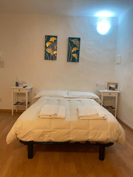 Gianfranco - City Center Apt ฟลอเรนซ์ ภายนอก รูปภาพ